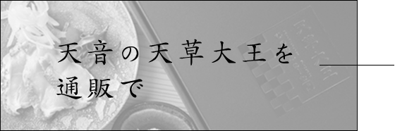 天音の天草大王を通販で